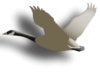 Captcha image 4100